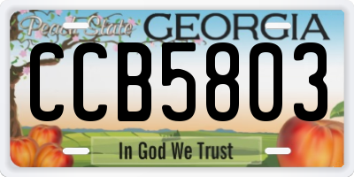GA license plate CCB5803
