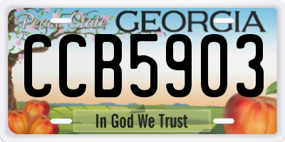 GA license plate CCB5903