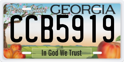 GA license plate CCB5919
