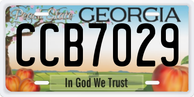 GA license plate CCB7029