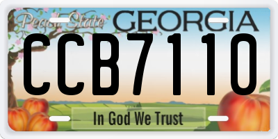 GA license plate CCB7110