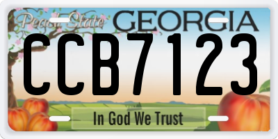 GA license plate CCB7123