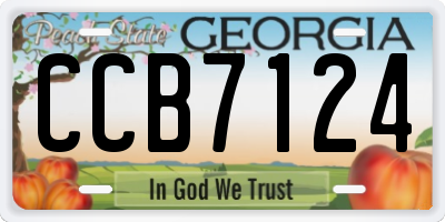GA license plate CCB7124