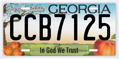 GA license plate CCB7125