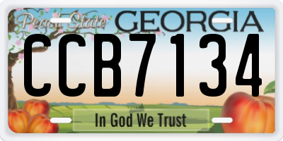 GA license plate CCB7134