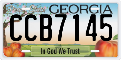 GA license plate CCB7145