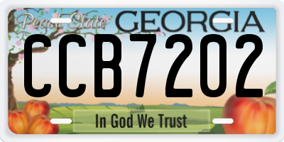 GA license plate CCB7202