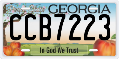 GA license plate CCB7223