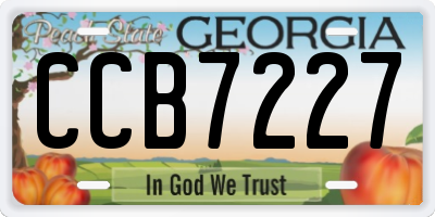 GA license plate CCB7227