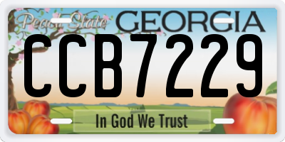 GA license plate CCB7229
