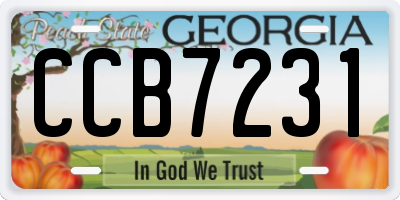 GA license plate CCB7231