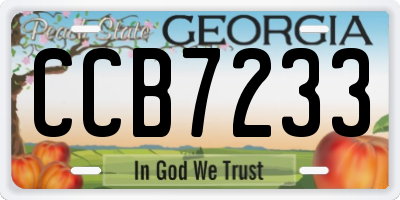 GA license plate CCB7233