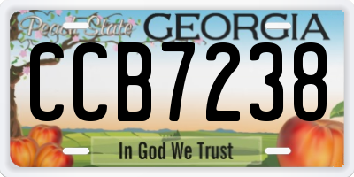 GA license plate CCB7238