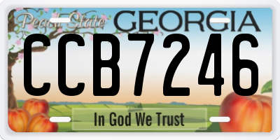 GA license plate CCB7246