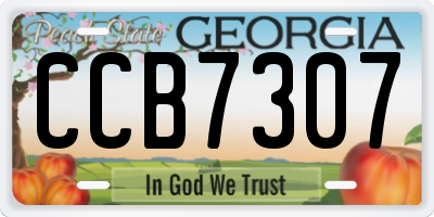 GA license plate CCB7307