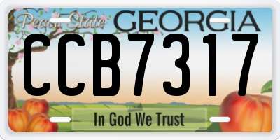 GA license plate CCB7317