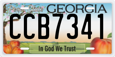 GA license plate CCB7341