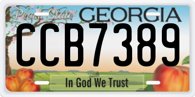 GA license plate CCB7389