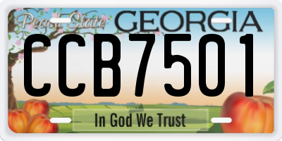 GA license plate CCB7501