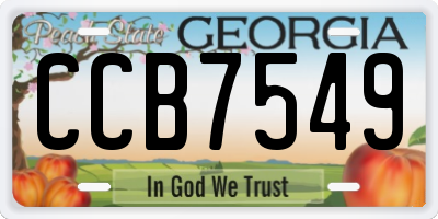 GA license plate CCB7549