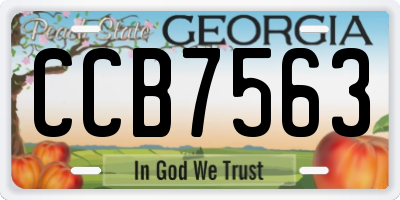 GA license plate CCB7563
