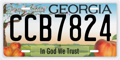 GA license plate CCB7824