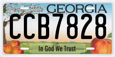 GA license plate CCB7828