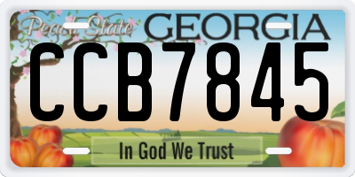 GA license plate CCB7845