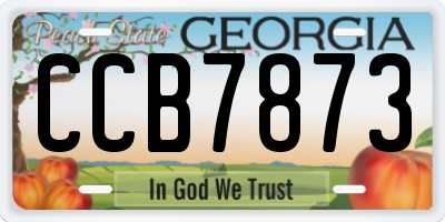 GA license plate CCB7873
