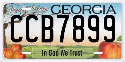 GA license plate CCB7899