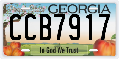 GA license plate CCB7917