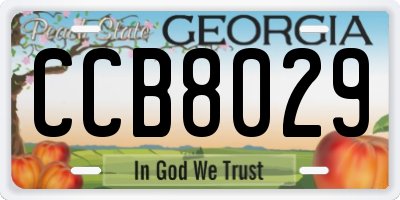 GA license plate CCB8029