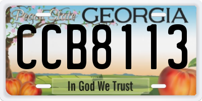 GA license plate CCB8113