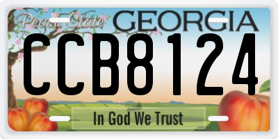GA license plate CCB8124