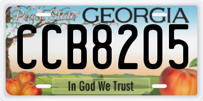 GA license plate CCB8205