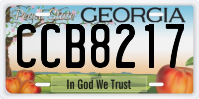 GA license plate CCB8217