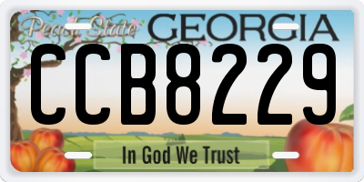 GA license plate CCB8229