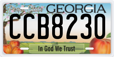 GA license plate CCB8230