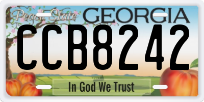 GA license plate CCB8242