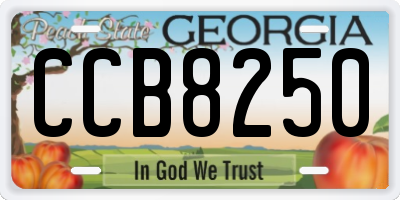 GA license plate CCB8250