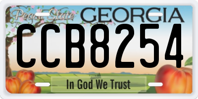 GA license plate CCB8254