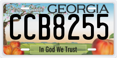 GA license plate CCB8255
