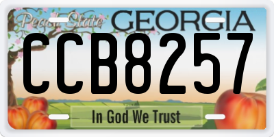GA license plate CCB8257