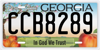 GA license plate CCB8289