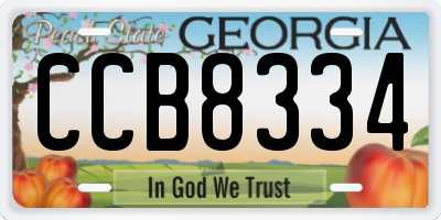 GA license plate CCB8334
