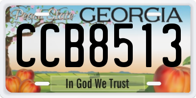 GA license plate CCB8513