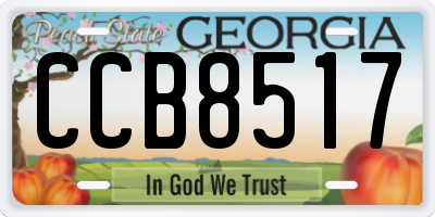 GA license plate CCB8517