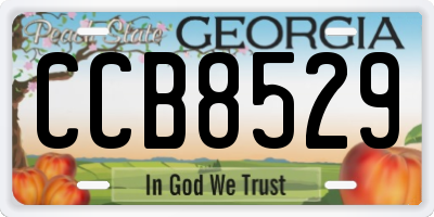 GA license plate CCB8529