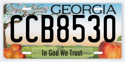 GA license plate CCB8530
