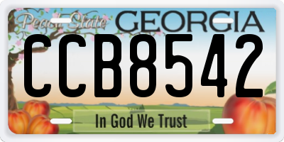 GA license plate CCB8542